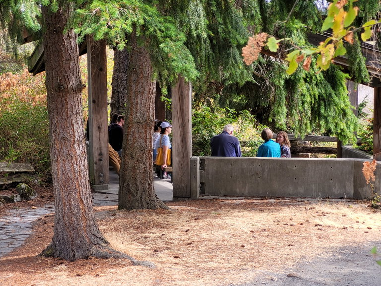 Attendees of the Citizen Soundscape event engage in guided outdoor listening at Swan Lake (Saanich, BC). Photo by Alex Chen.