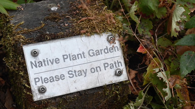 Film still from Citizen Soundscape. A sign at Swan Lake Christmas Hill Nature Sanctuary in Saanich.