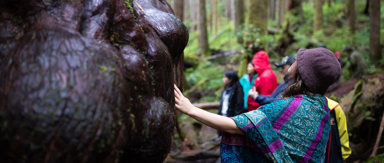 Ancient Forest Alliance Hike, Port Renfrew, BC, 2018. Photo: BC Culture Days