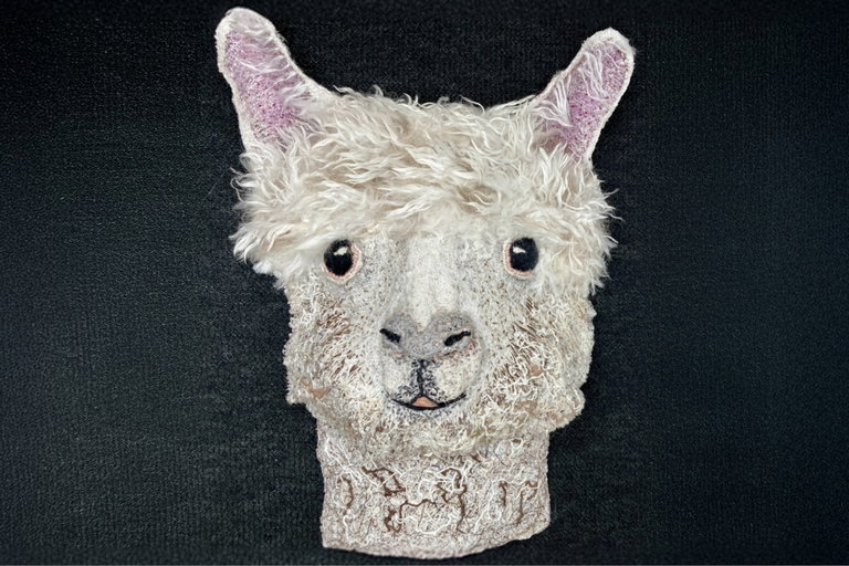 A releif sculpture made from various coloured threads forms the realistic head of an alpaca. Mostly white with a black background.