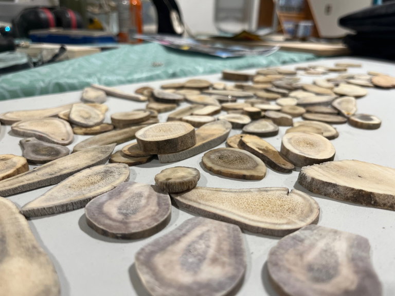 Dozens of Antler pieces shown in close up