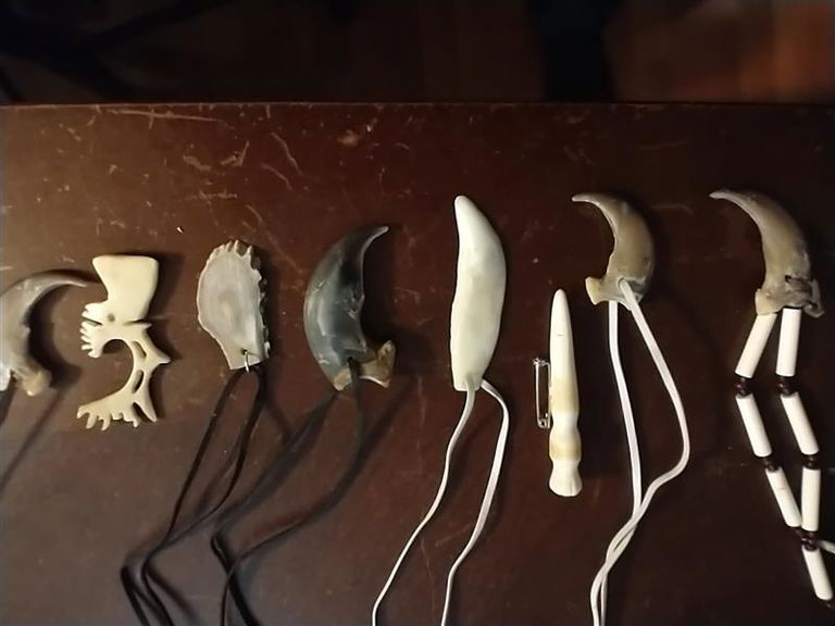 7 carved antler pendants and one antler pin