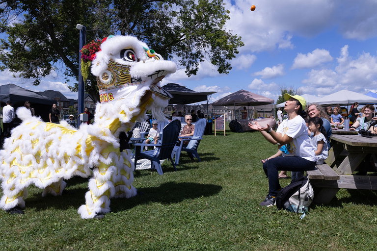 Hong Luck Lion Dance Show