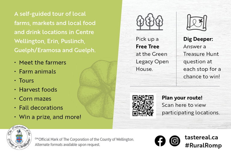 Promotional graphic for the Fall Rural Romp. It describes the event as a self-guided tour of local farms, markets, and food and drink locations in Centre Wellington, Erin, Puslinch, Guelph/Eramosa, and Guelph. Activities include meeting farmers, seeing farm animals, tours, harvest foods, corn mazes, fall decorations, and prizes. Highlights include picking up a free tree at the Green Legacy Open House and answering treasure hunt questions to win. A QR code invites visitors to scan and plan their route. Taste Real branding and social media handles are included.