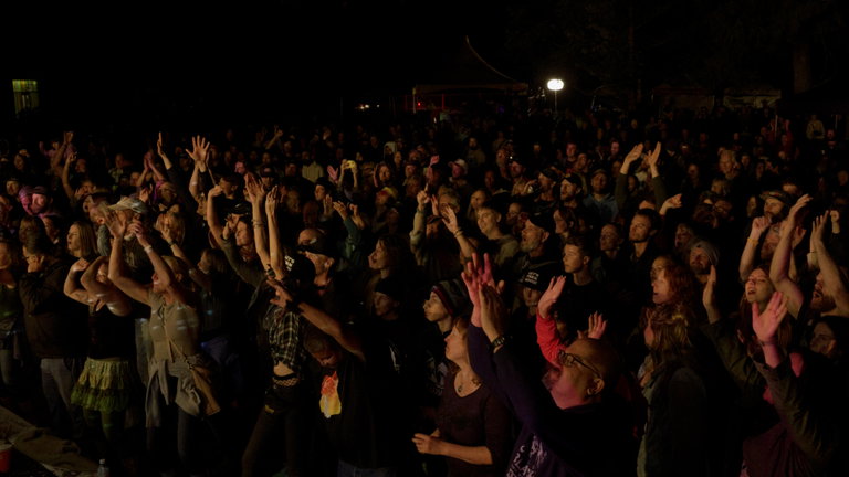 A large crowd, many with their hands in the air, watch performances in Polson Park.