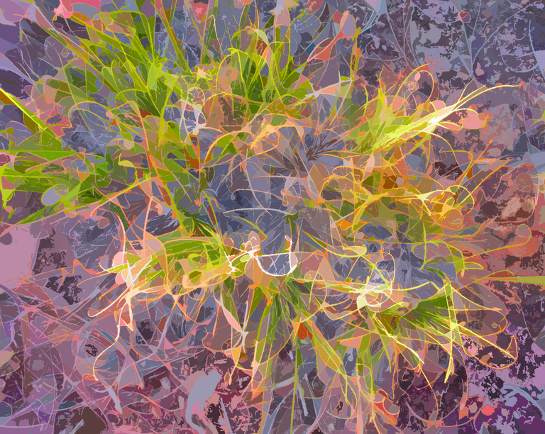 An abstract image drawn from a plant called bunch grass