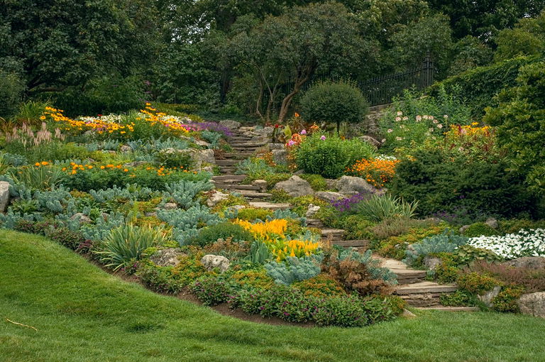 rock garden with perennial flowers in bloom