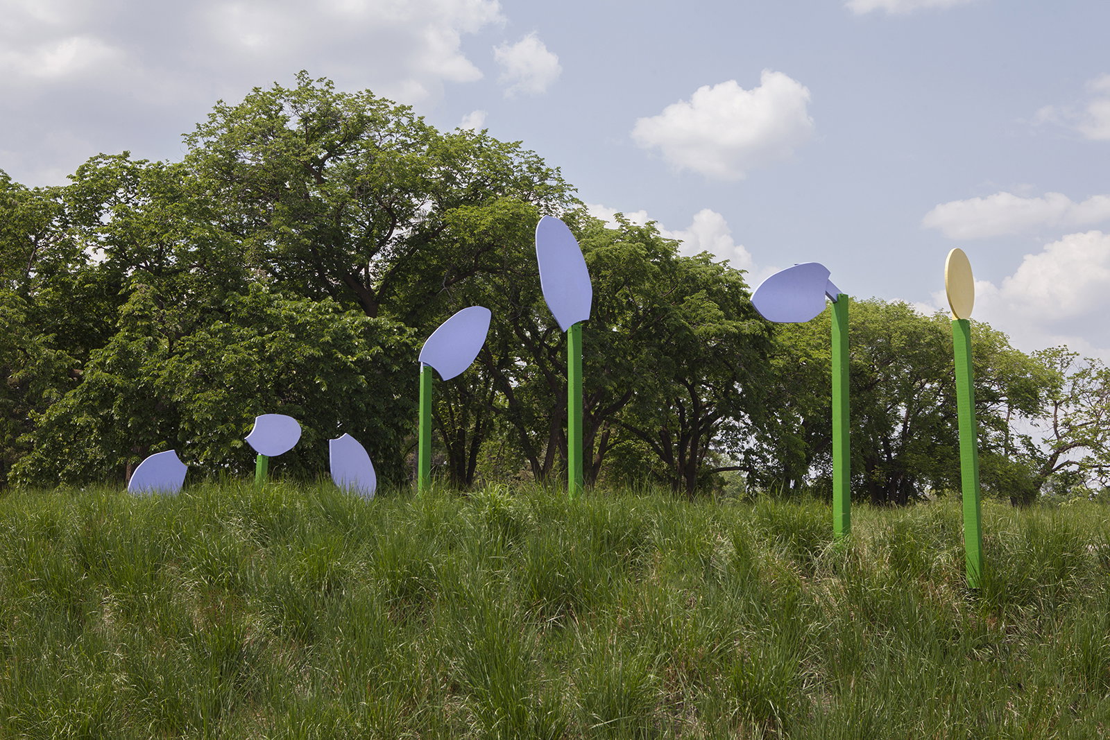 Petals in Perspective - Cool Gardens 2025 | Culture Days 2025