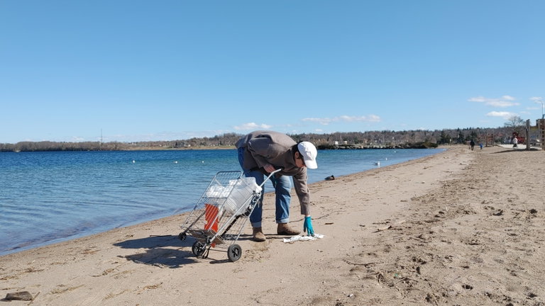 person wearing jeans, brown sweater, gloves, boots and white ball cap pulling a shopping cart filled with bags while picking up garbage on a beach