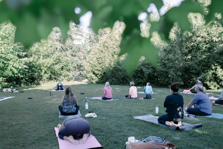 Park Yoga