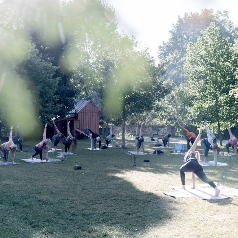 Yoga in the Park