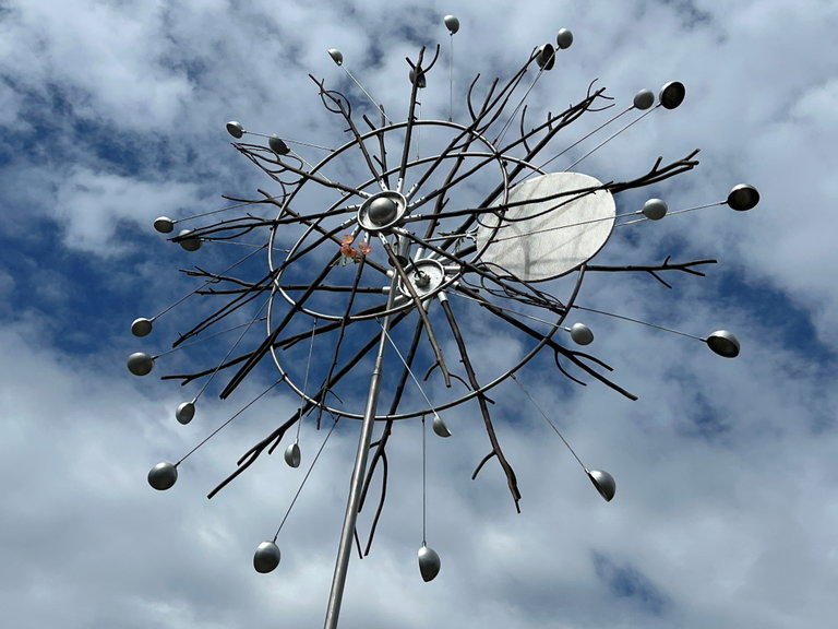 Cosmos Wheels by Doug R Taylor