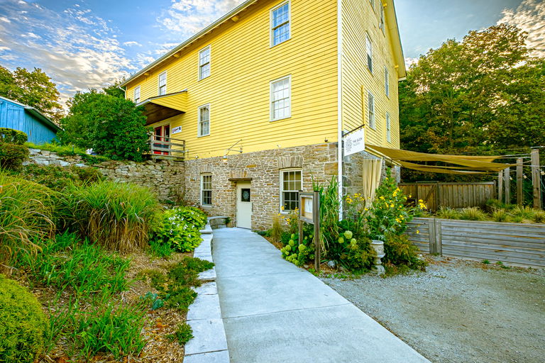 Pauline Gladstone Williams Mill Open Studio Tour Culture Days 2023