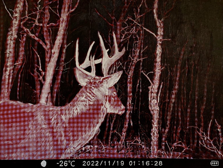 An acrylic painting of a trailcam photo showing a whitetail buck with a gingham texture walking in the forest at night.