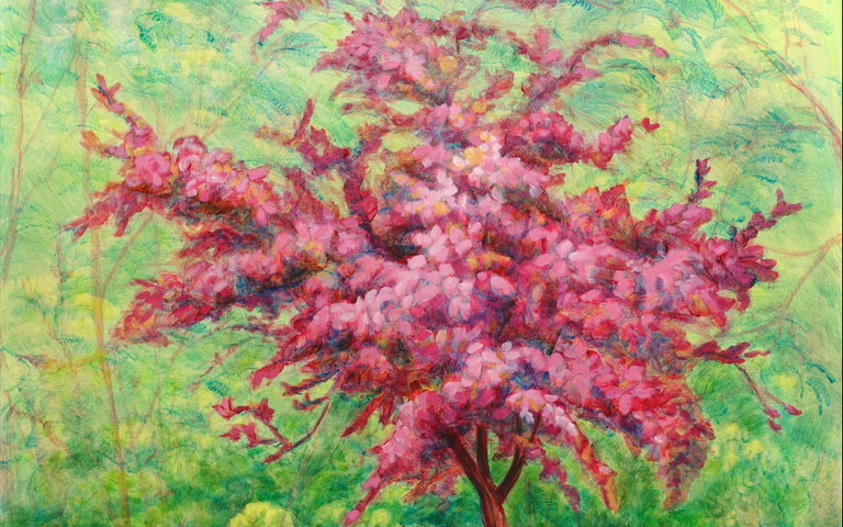 Rich spring colors in early May.