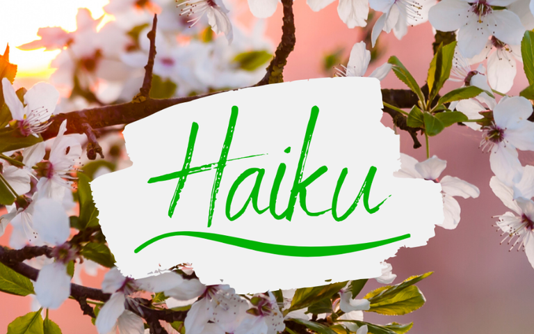 The word "Haiku" is written in front of a background of cherry blossoms in bloom.