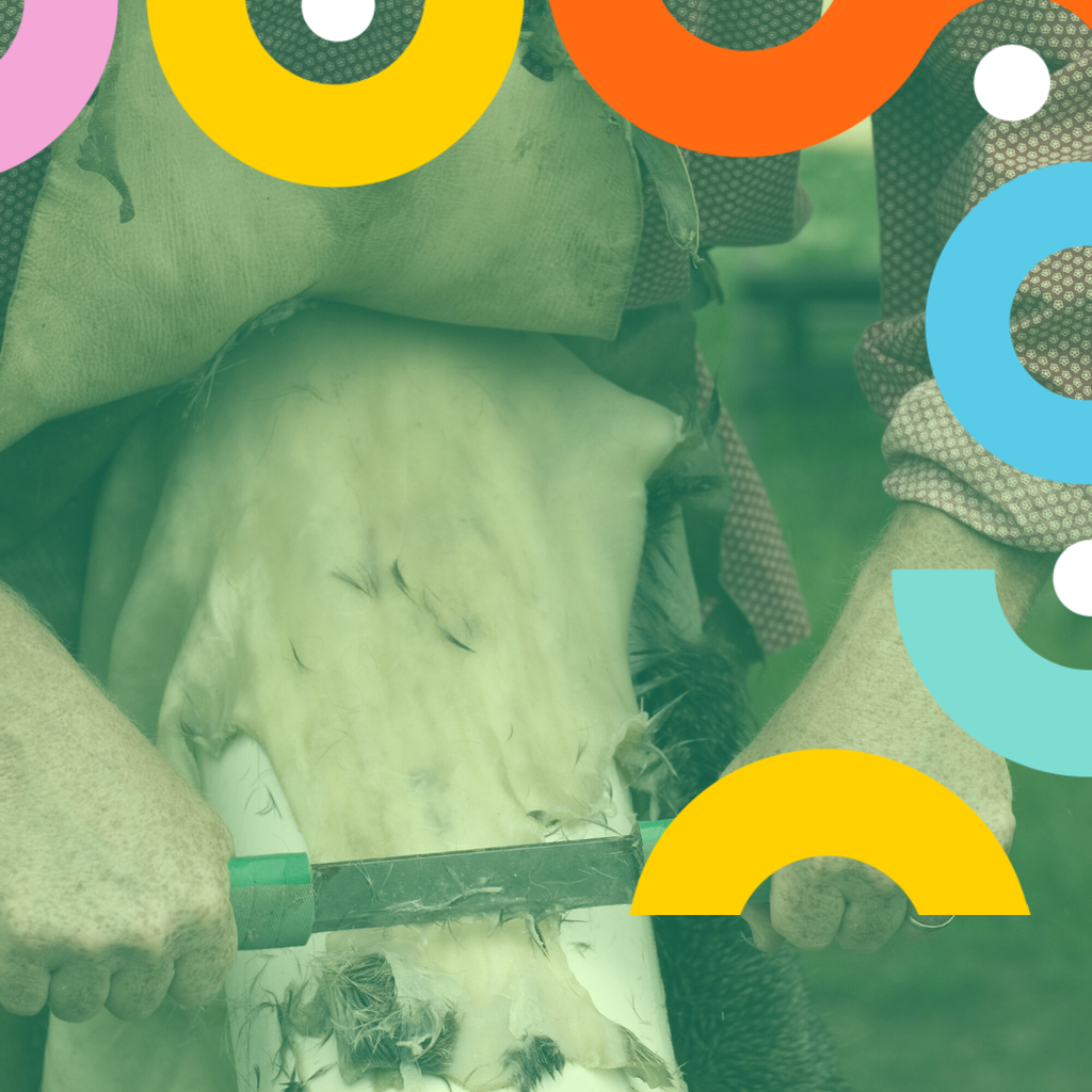 rawhide-rattle-making-culture-days-2023