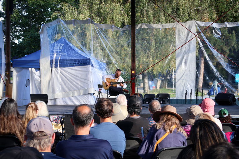 Flamenco guitarist performing at a concert