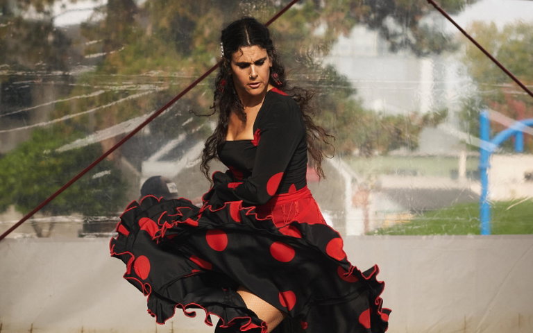 Flamenco dancer in motion