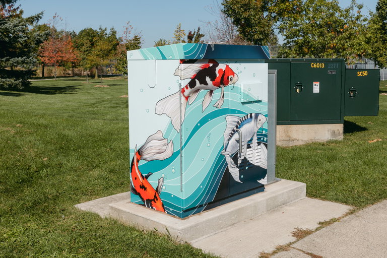 A traffic signal box wrapped in colourful blue vinyl, with a design depicting blue, white, and orange koi fish. The traffic signal box is on a cement platform beside a sidewalk.