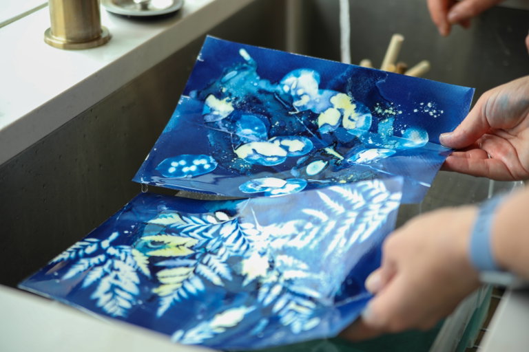 Cyanotypes
