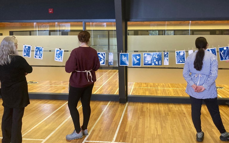 Cyanotype Workshop at the County Arts Lab