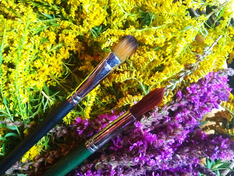 Paintbrushes and plants
