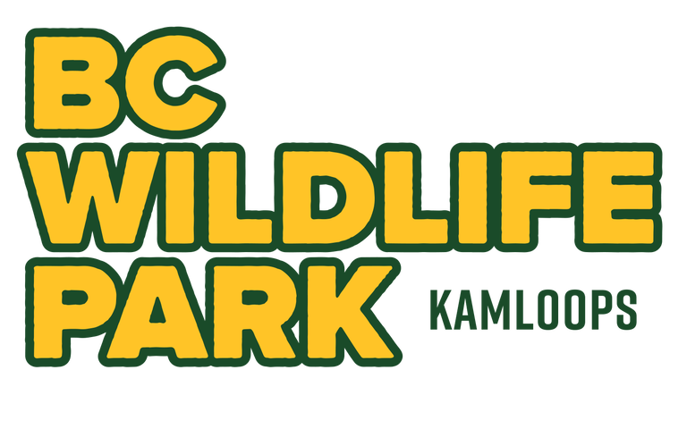BC Wildlife Park - Kamloops