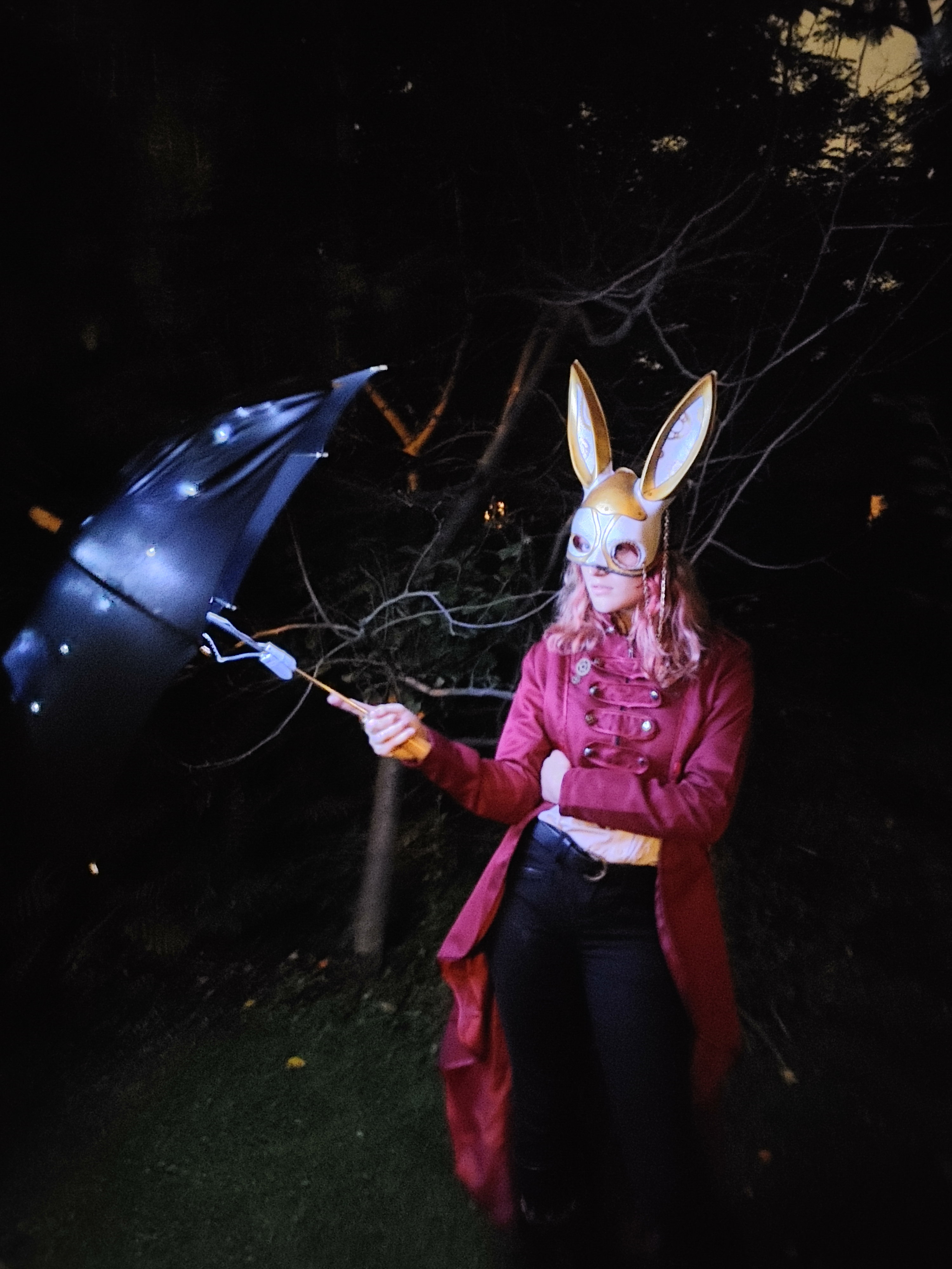 Lantern Parade and Dance Party | Culture Days 2024