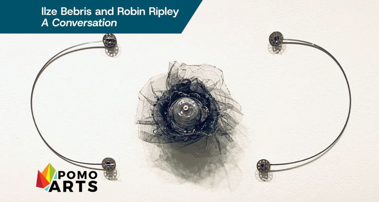 Ilze Bebris and Robin Ripley, A Conversation