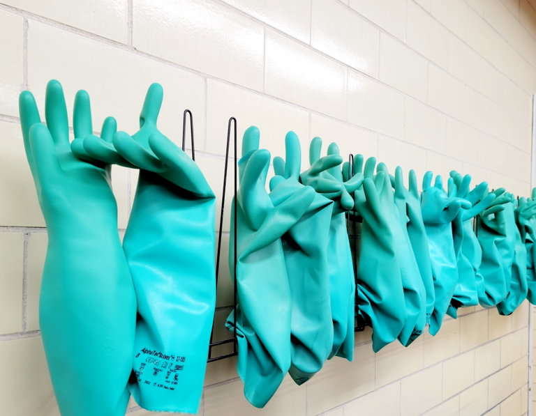 A row of greeny-blue rubber gloves on a drying stand.