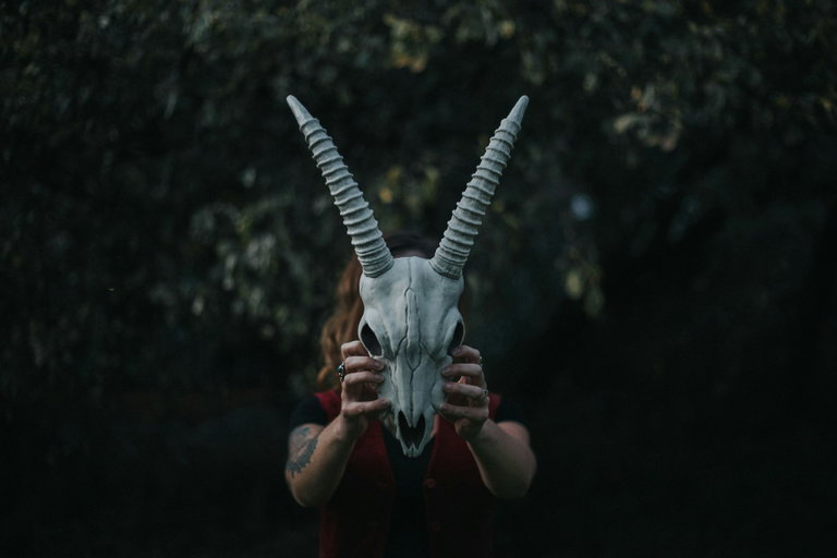 Photo by Elle Cartier