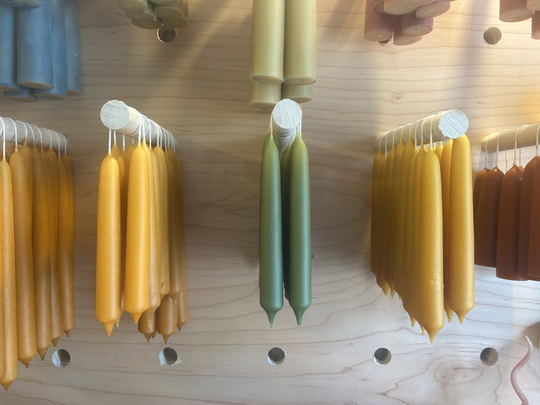 image of hand dipped candle pairs hanging on a wall with a range of colours in an autumn palette