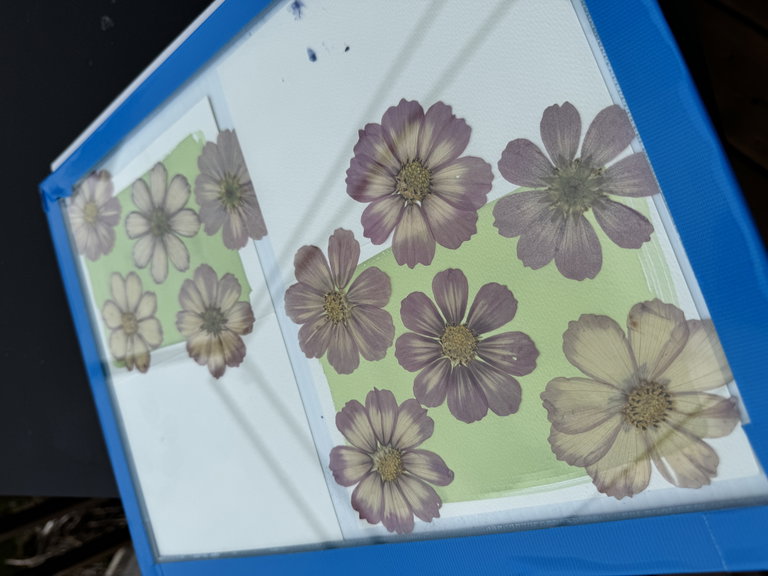 Easy cyanotype-making for kids.