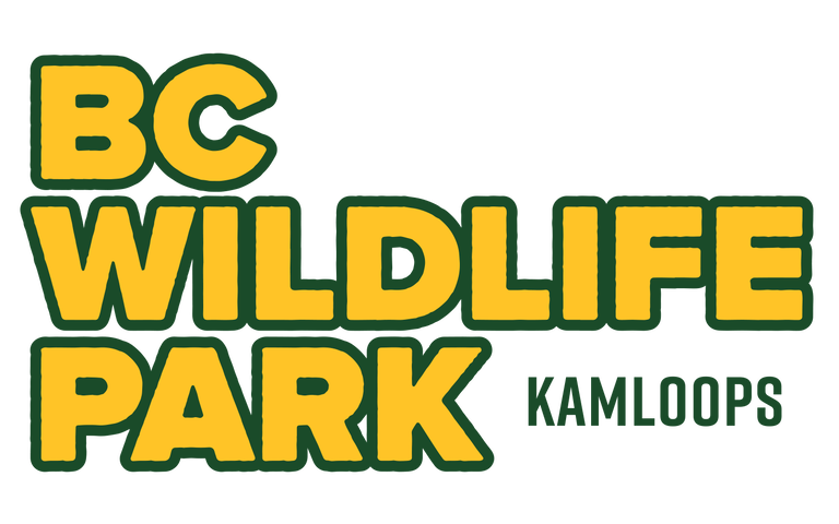 BC Wildlife Park - Kamloops