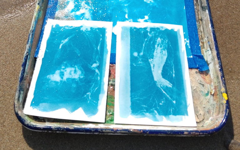An aerial photo of three pieces of cyanotype paper being rinsed off in lake water