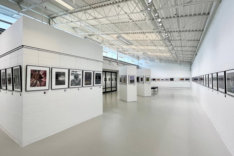 Photographic prints of flowers, portraits, and landscapes displayed in black frames hung in a horizontal line across white gallery walls.