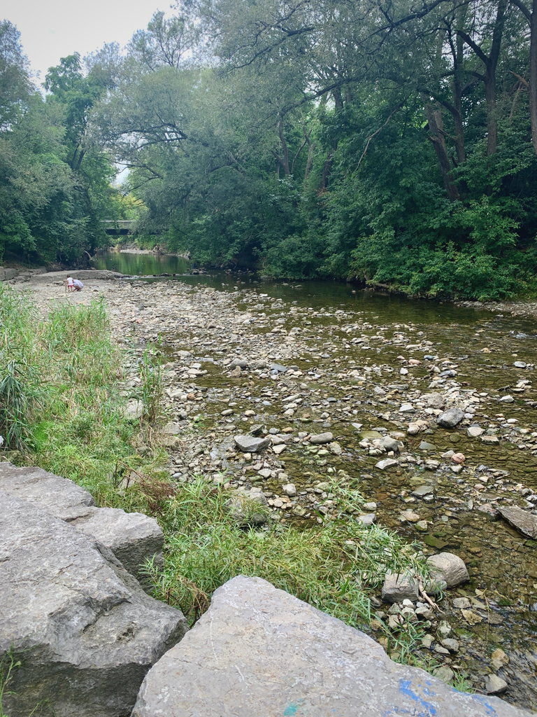Water stream running across the middle of the image with a lot of rocks with trees on the sides.
