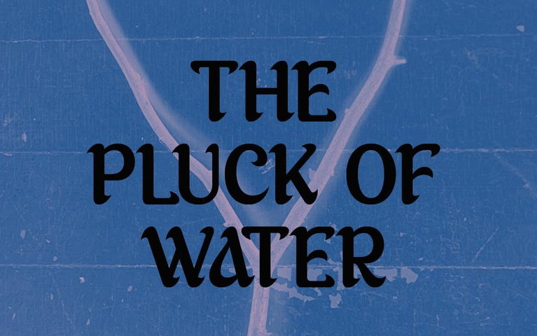 the title is on a blue background that has a "Y" shaped fork of hazel wood upon it.