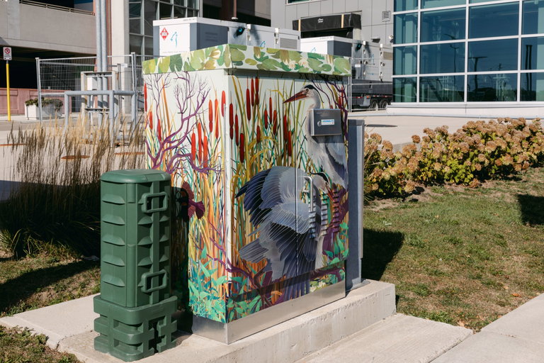 A traffic signal box wrapped in colorful vinyl depicting herons in a grassy pond with trees and fauna.
