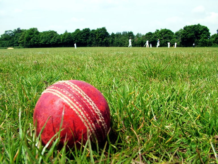 A cricket ball in the grass