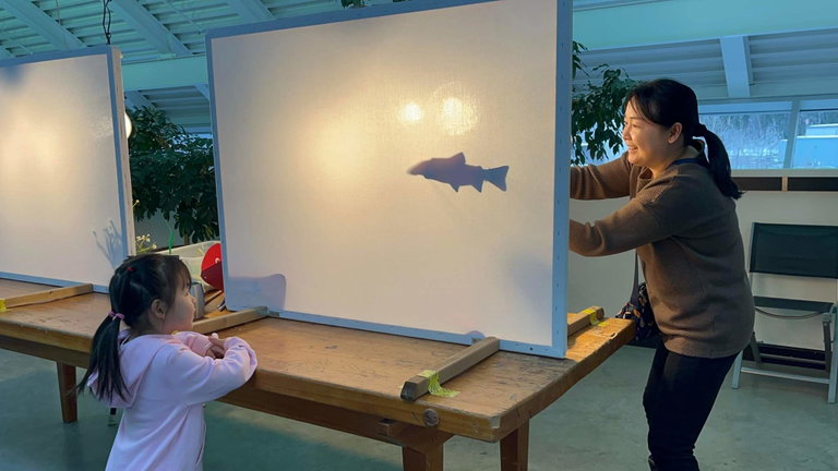 A woman stands behind a brightly lit white screen while holding a puppet that creates the shadow of a fish. A young girl stands in front of the screen intently watching the puppet show.
