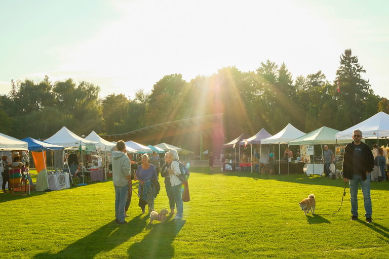 An outdoor artisan market scene on lush green grass, with colorful stalls displaying handmade goods. People are walking around, browsing and shopping, creating a lively and bustling atmosphere.